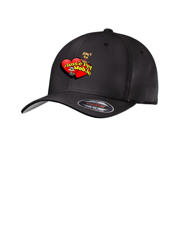 C813 Sanmar Port Authority® Flexfit® Cotton Twill Cap
