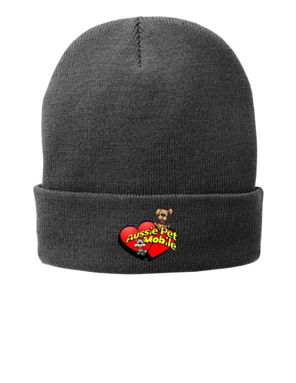 CP90L Sanmar Port & Company Fleece-Lined Knit Cap. CP90L